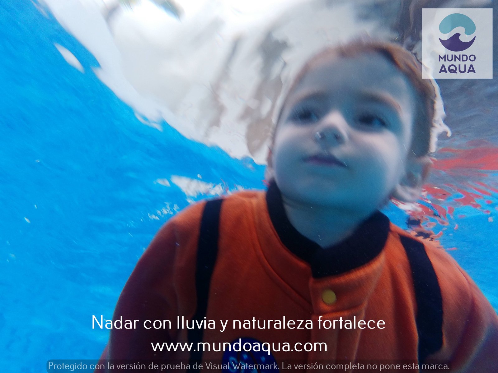 Bebé nadando con confianza en la alberca o piscina de su casa